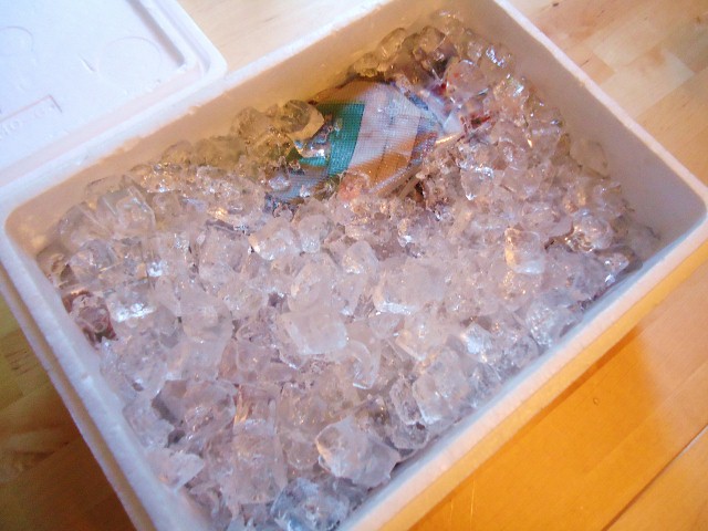 d0172957_13221729.jpg