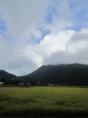 d0158258_8181242.jpg