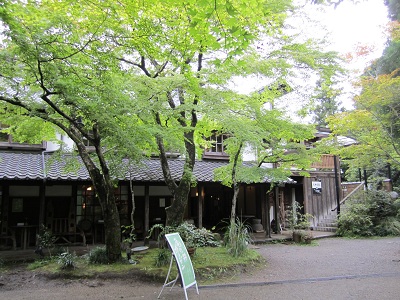 d0158258_87679.jpg