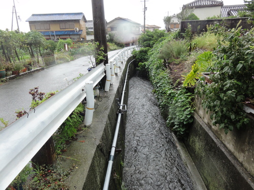 c0108460_150824.jpg