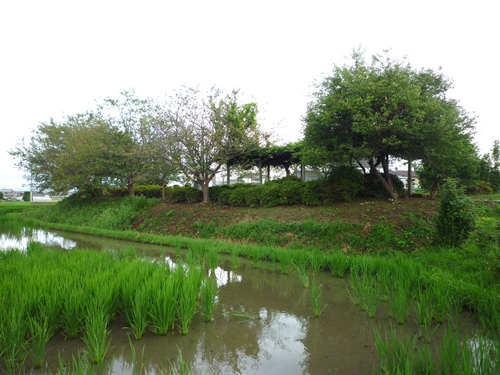 c0222861_220253.jpg