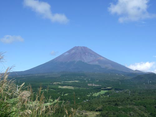 c0011862_90562.jpg