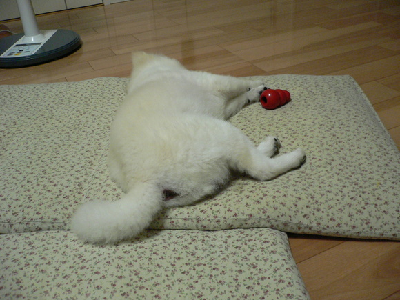 e0235963_20104100.jpg