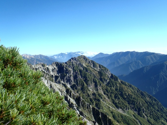 d0091069_2329729.jpg