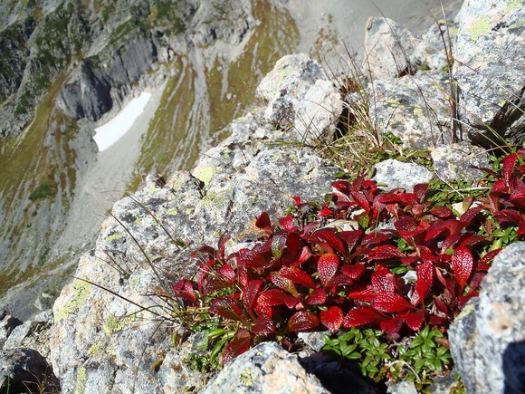 d0091069_23321875.jpg