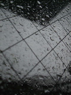 f0039281_23223091.jpg