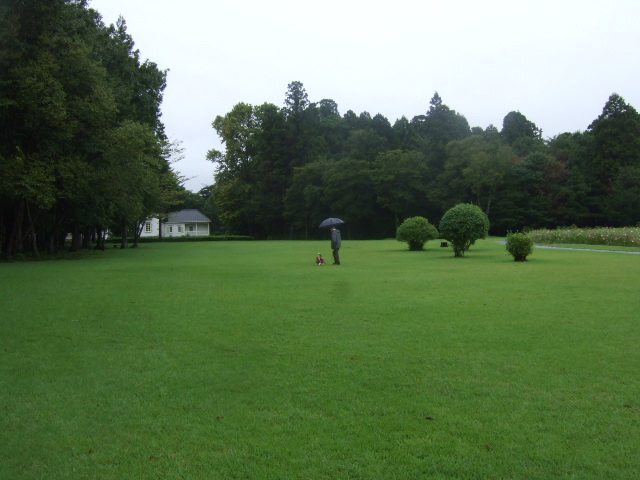 b0203588_16433525.jpg