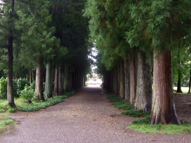 b0203588_16435283.jpg