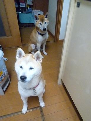 c0123890_2073459.jpg