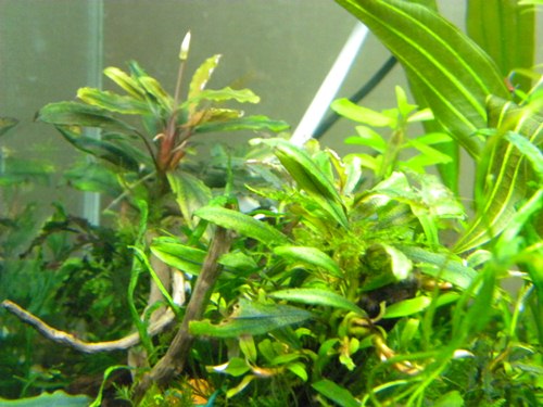 f0138093_02973.jpg