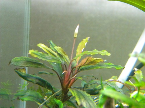 f0138093_032252.jpg