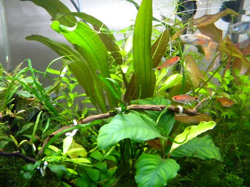 f0138093_051990.jpg