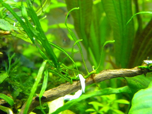 f0138093_061373.jpg