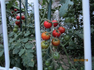 c0136296_0414184.jpg