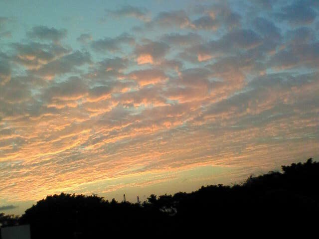c0193396_2139669.jpg