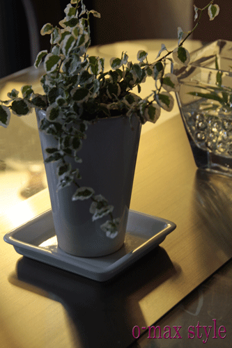 f0128096_10502323.gif