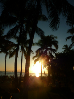 c0077697_1463262.jpg