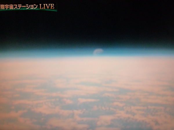 d0057701_8554750.jpg