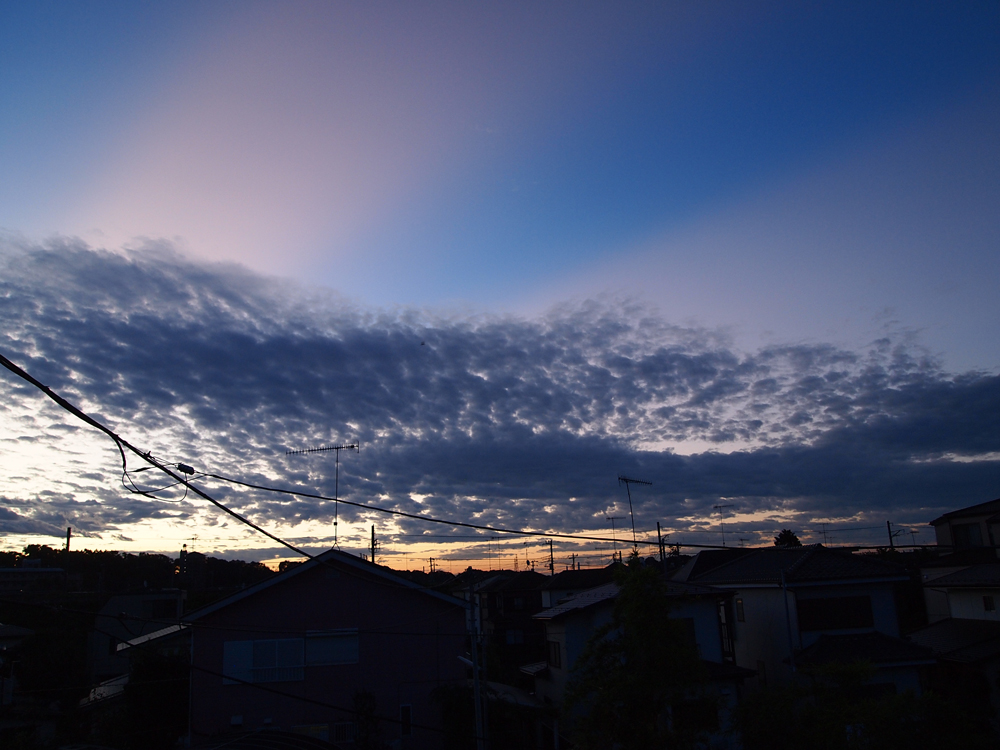 a0058605_10224643.jpg