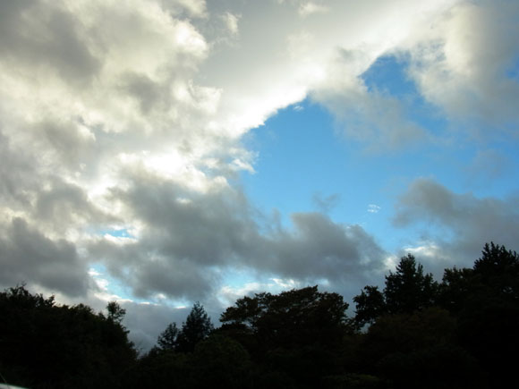 e0083517_325774.jpg