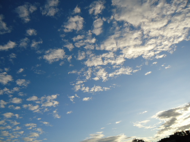 c0150520_2243698.jpg