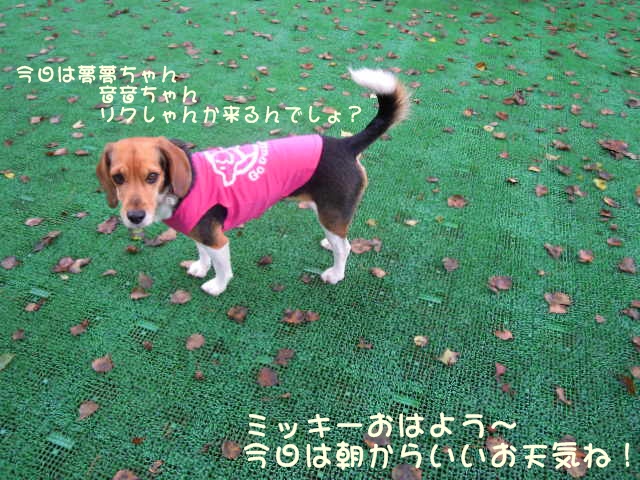 c0166622_10441665.jpg