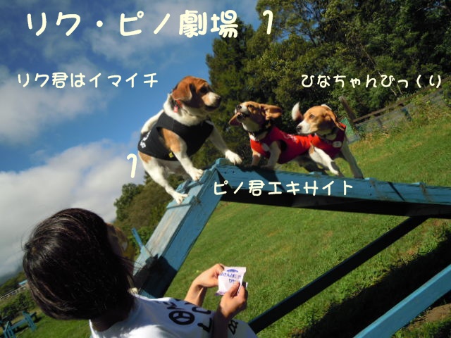 c0166622_10461788.jpg