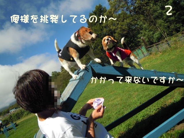 c0166622_10462718.jpg