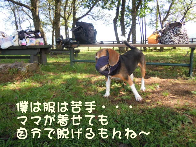 c0166622_10471639.jpg