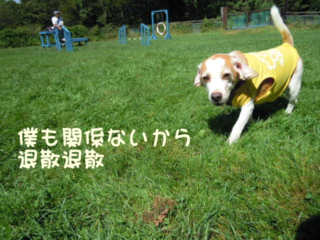 c0166622_1047171.jpg