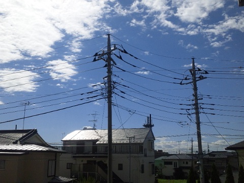 b0199924_9585727.jpg