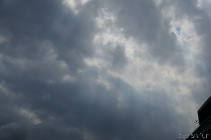 c0133533_2319467.jpg