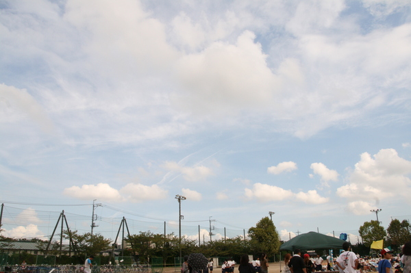 d0140533_14171772.jpg