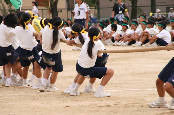 d0140533_162639.jpg