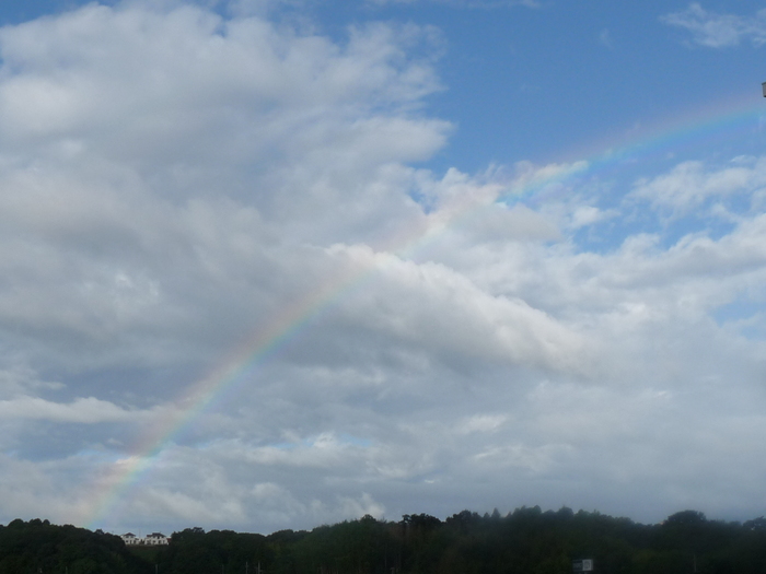 c0100534_18451449.jpg