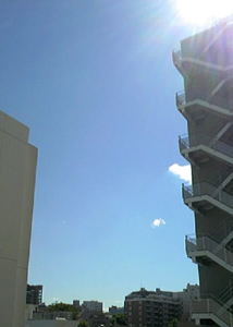 f0034334_104667.jpg