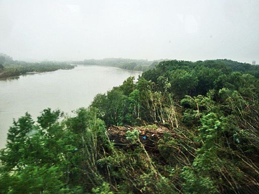 b0012636_21254260.jpg