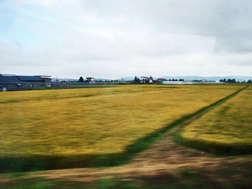 b0012636_21261376.jpg