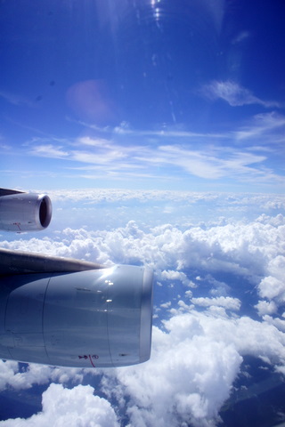 c0156438_133924.jpg