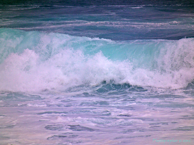 e0083238_049207.jpg