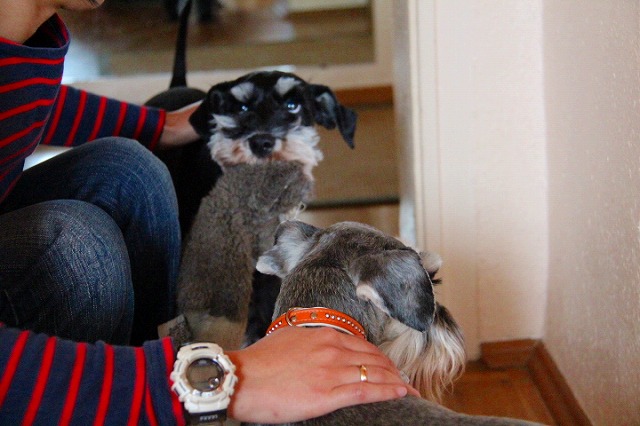 c0153740_1572012.jpg