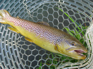 f0065341_9202247.jpg