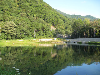 f0065341_920293.jpg