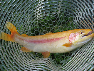 f0065341_9203853.jpg