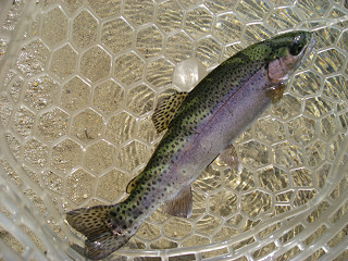 f0065341_9214841.jpg