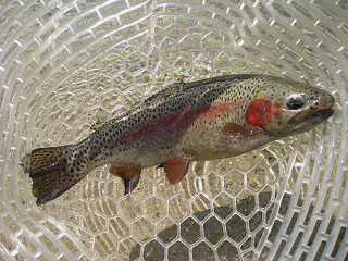 f0065341_922169.jpg
