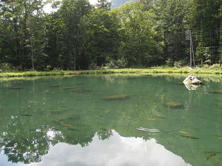 f0065341_923182.jpg
