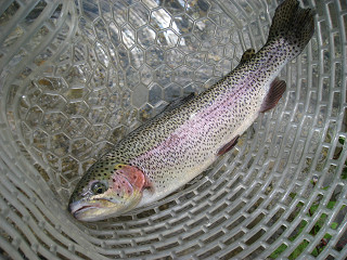 f0065341_9245370.jpg