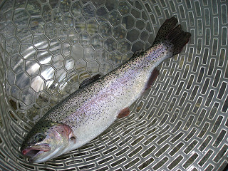 f0065341_9254853.jpg