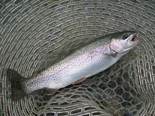 f0065341_9261439.jpg